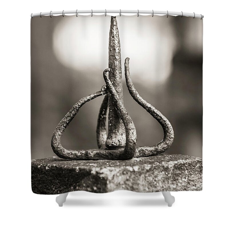 Spike Shower Curtain featuring the photograph Twisted iron by Jason Hughes
