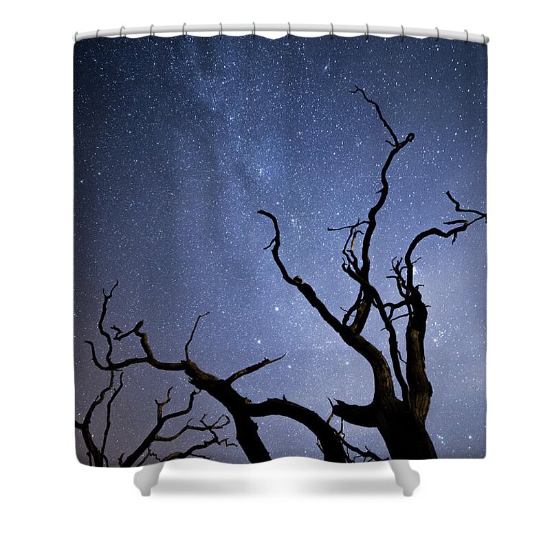 Milky Way Shower Curtain featuring the photograph Twisted Spooky Trees and the Milky Way Stars by Anita Nicholson