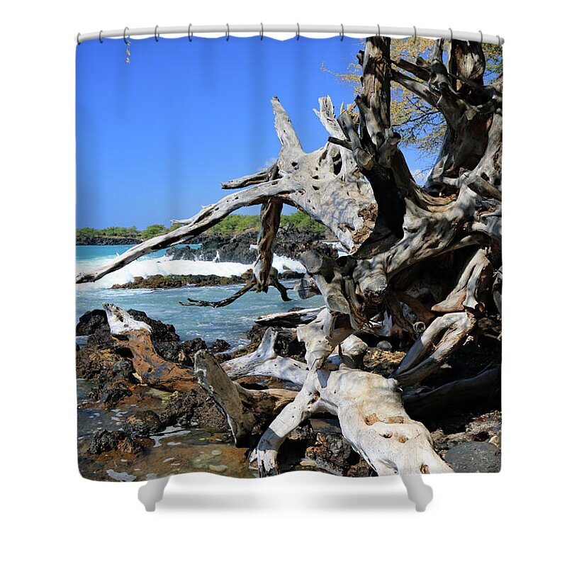 Landscape Shower Curtain featuring the photograph Twisted Tropical Beautiful by Mary Haber
