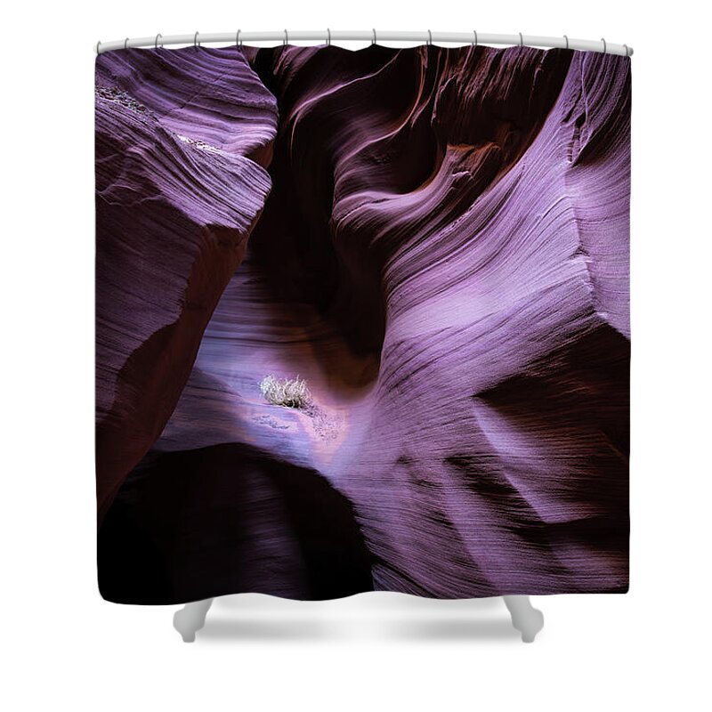 Antelope Canyon Shower Curtain featuring the photograph Twists and Turns II by Jon Glaser