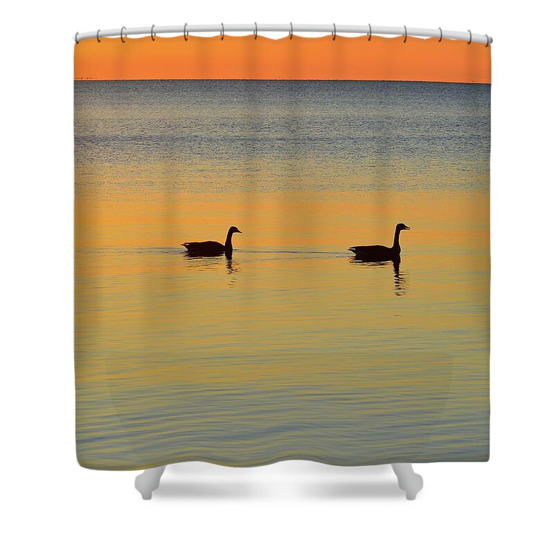 Abstract Shower Curtain featuring the digital art Two Canadian Geese by Lyle Crump