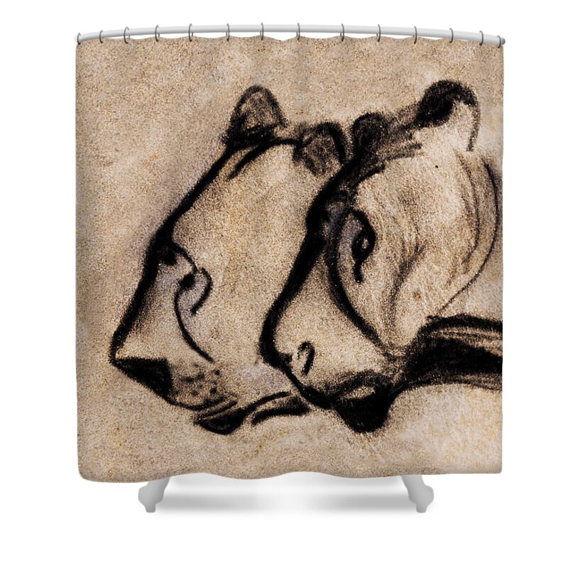 Chauvet Cave Lions Shower Curtain featuring the painting Two Chauvet Cave Lions - Clear Version by Weston Westmoreland