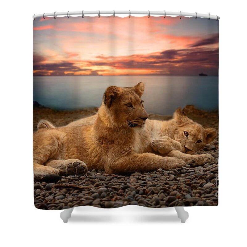 Lion Shower Curtain featuring the photograph Two by Christine Sponchia