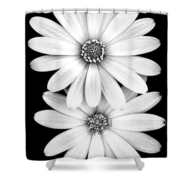 Black And White Spring Flowers Shower Curtain featuring the photograph Two Flowers by Az Jackson