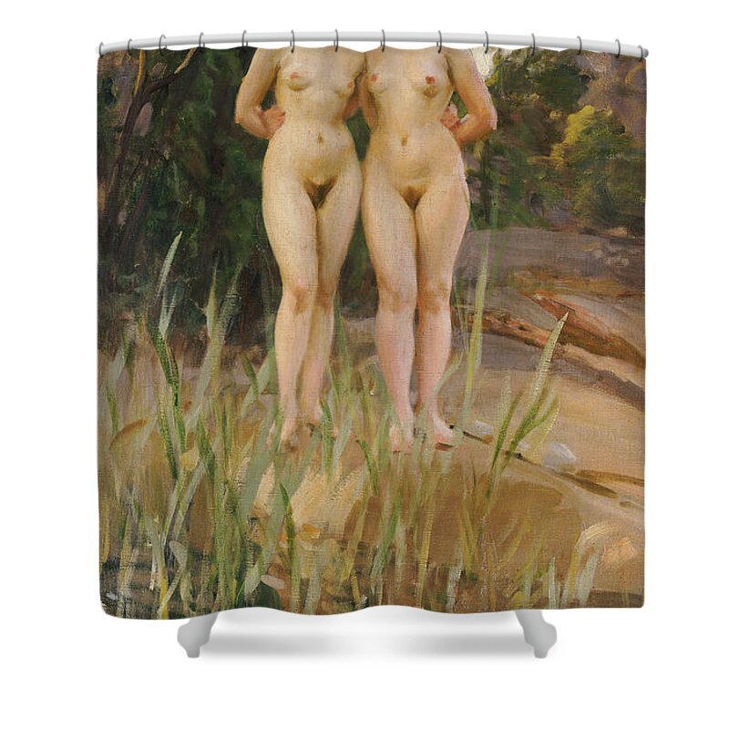 Nude Shower Curtain featuring the painting Two Friends by Anders Leonard Zorn