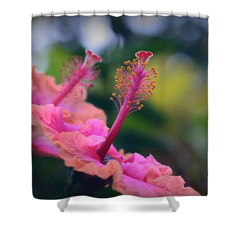 Hibiscus Shower Curtain featuring the photograph Two Hibiscus by Lori Seaman