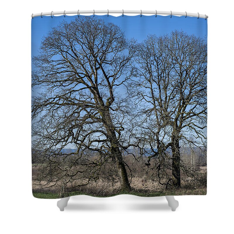 Landscape Shower Curtain featuring the photograph Two Oaks by Robert Potts