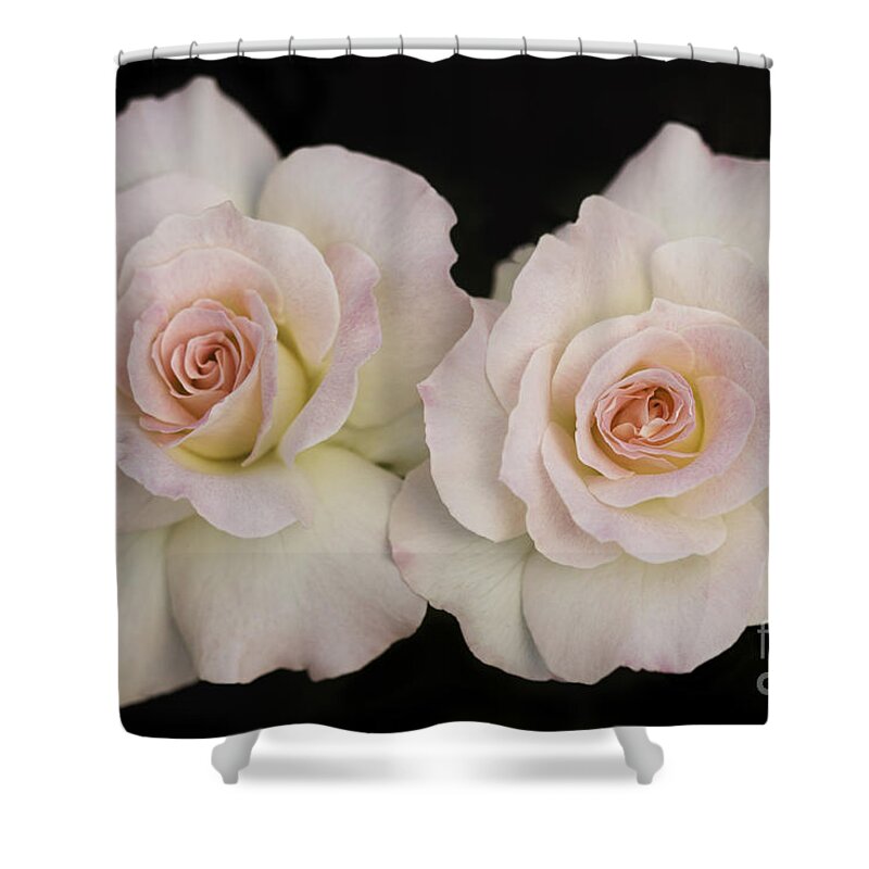 Roses Shower Curtain featuring the photograph Two of a Kind by Patty Colabuono