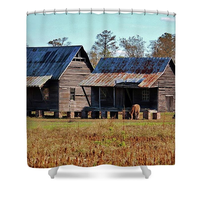 House Shower Curtain featuring the photograph Two Of Each by Cynthia Guinn