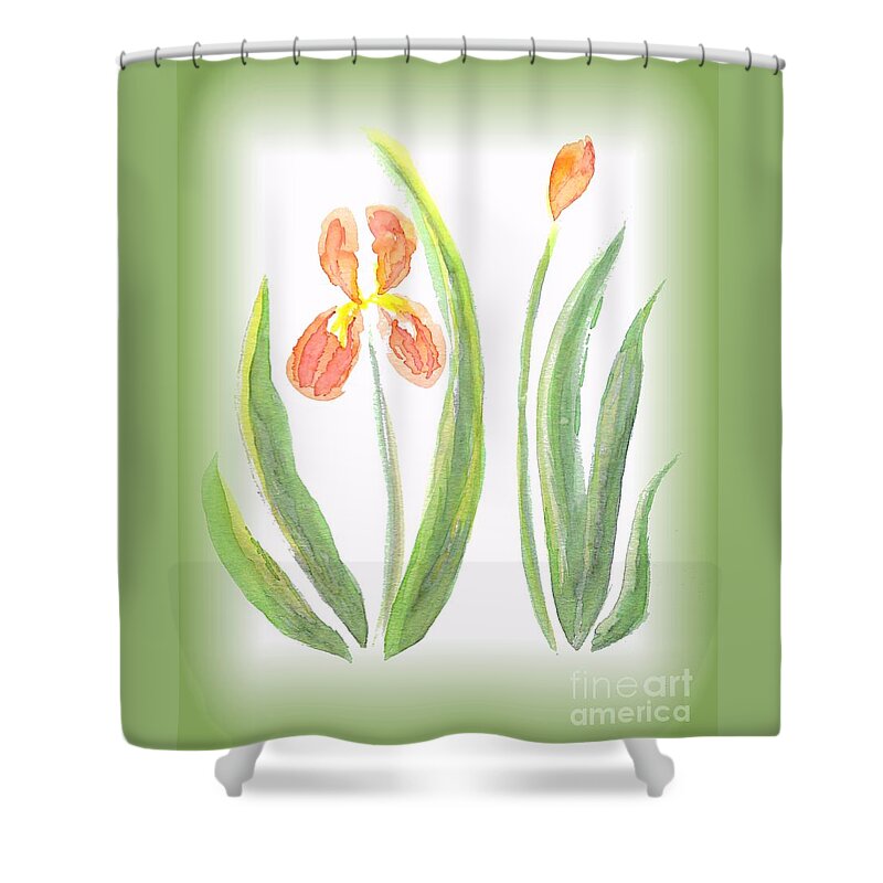 Art Shower Curtain featuring the painting Two Orange Iris green frame by Delynn Addams