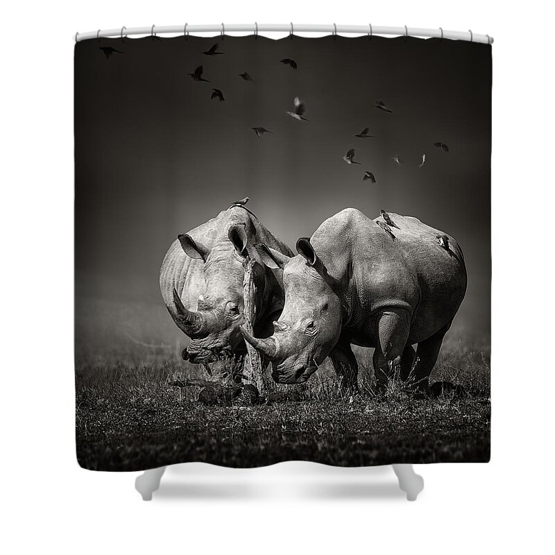 Rhinoceros Shower Curtain featuring the photograph Two Rhinoceros with birds in BW by Johan Swanepoel