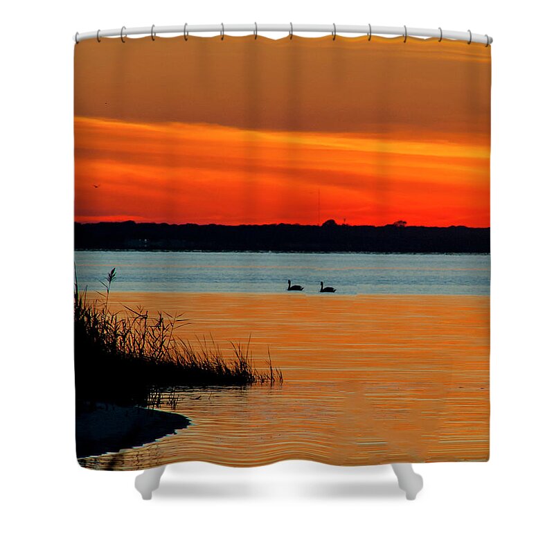 Swans Shower Curtain featuring the photograph Two Swans by Cathy Kovarik
