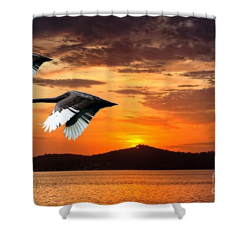 Swans Shower Curtain featuring the photograph Two Swans in Full Flight at Dawn.  by Geoff Childs