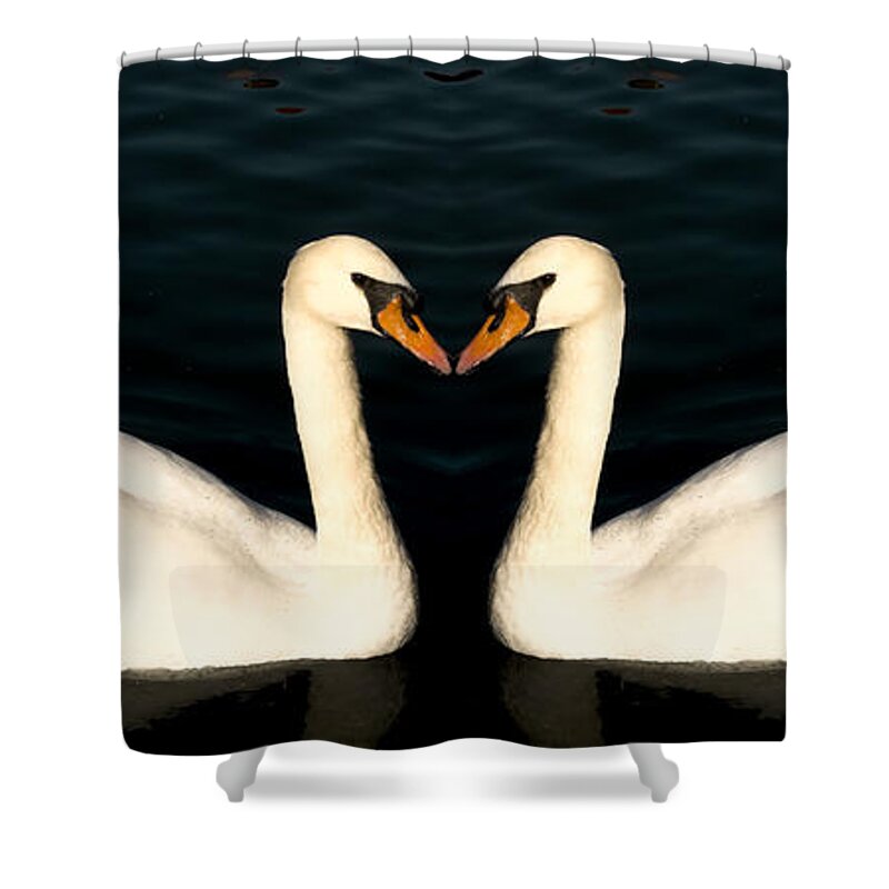 Two White Swans Shower Curtain featuring the photograph Two Symmetrical White Love Swans by John Williams