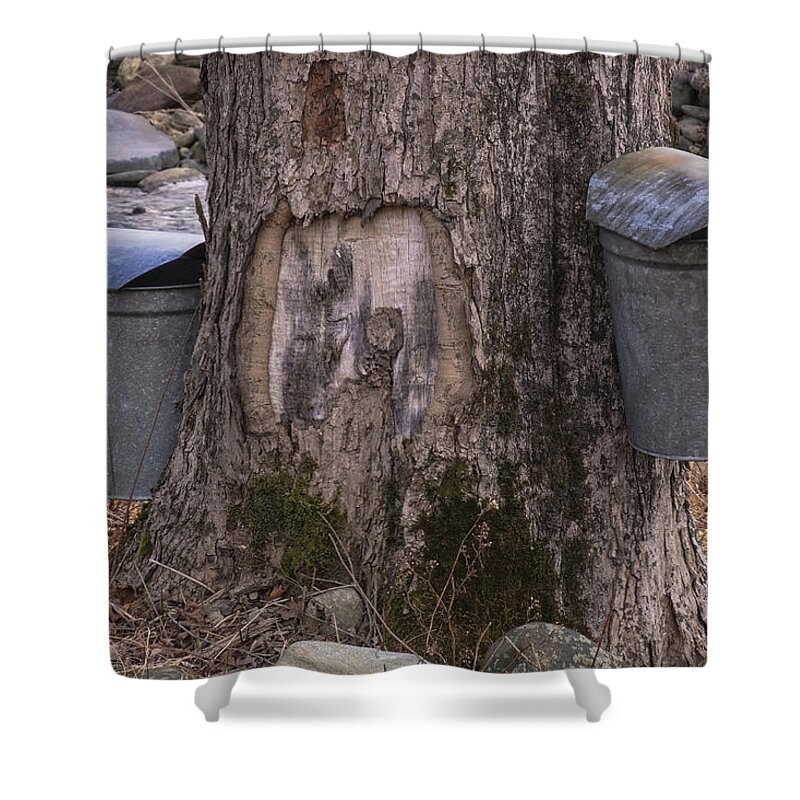 Maple Trees Shower Curtain featuring the photograph Two Syrup Buckets by Tom Singleton