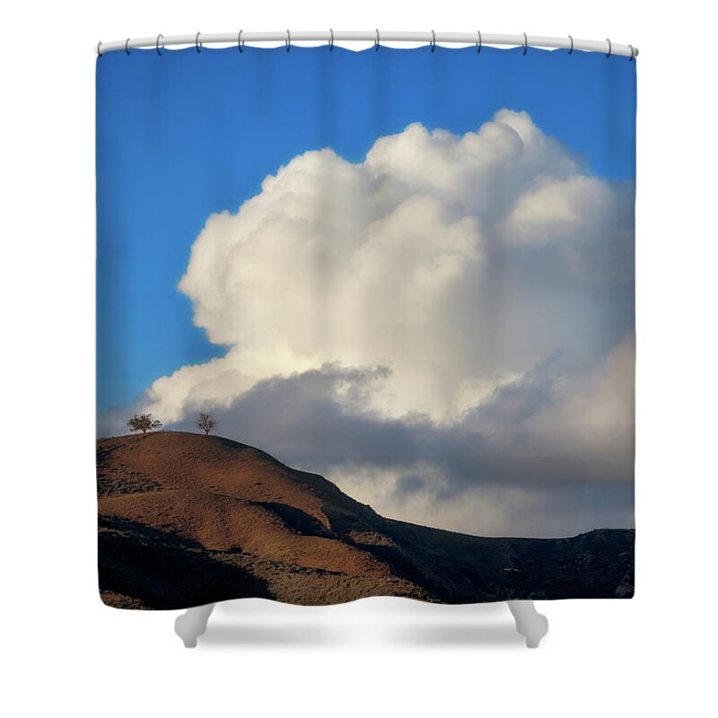 Two Trees Shower Curtain featuring the photograph Two Trees at Ventura, California by John A Rodriguez