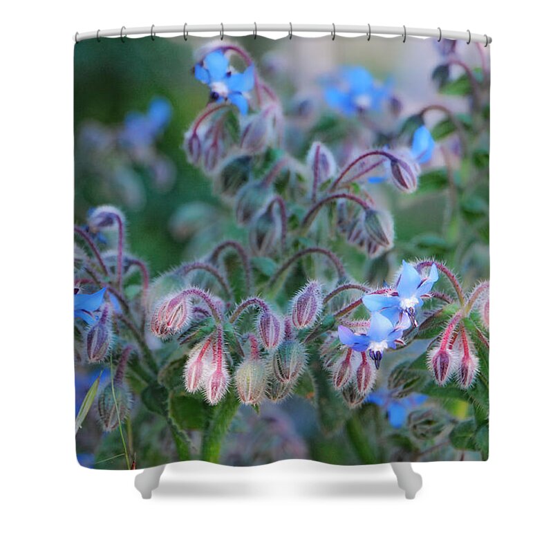 Flower Shower Curtain featuring the photograph Uncommon Beauty by Donna Blackhall