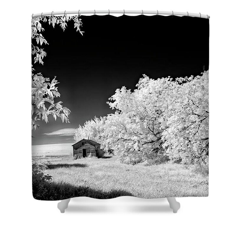 Infrared Shower Curtain featuring the photograph Under a Dark Sky by Dan Jurak