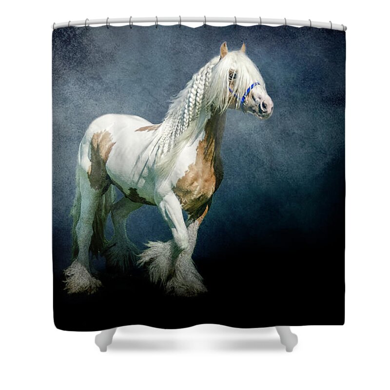 Gypsy Cob Shower Curtain featuring the photograph Under a Gypsy Moon by Brian Tarr