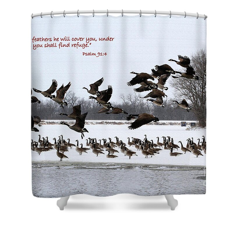 Geese Shower Curtain featuring the photograph Under his Wings by Rick Rauzi