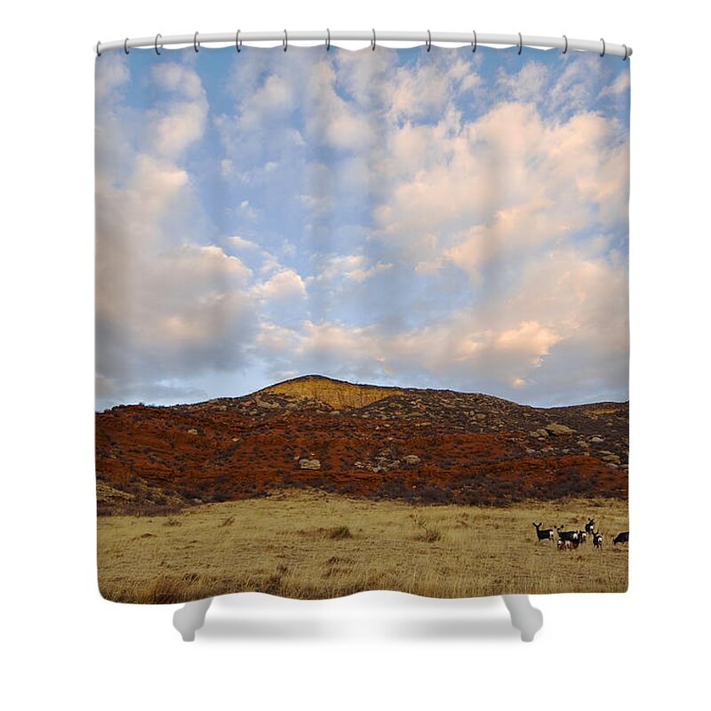 Mule Deer Shower Curtain featuring the photograph Under the Colorado Sky by Bon and Jim Fillpot