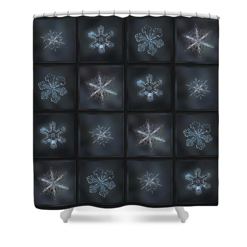 Snowflake Shower Curtain featuring the photograph Under the grey sky II by Alexey Kljatov