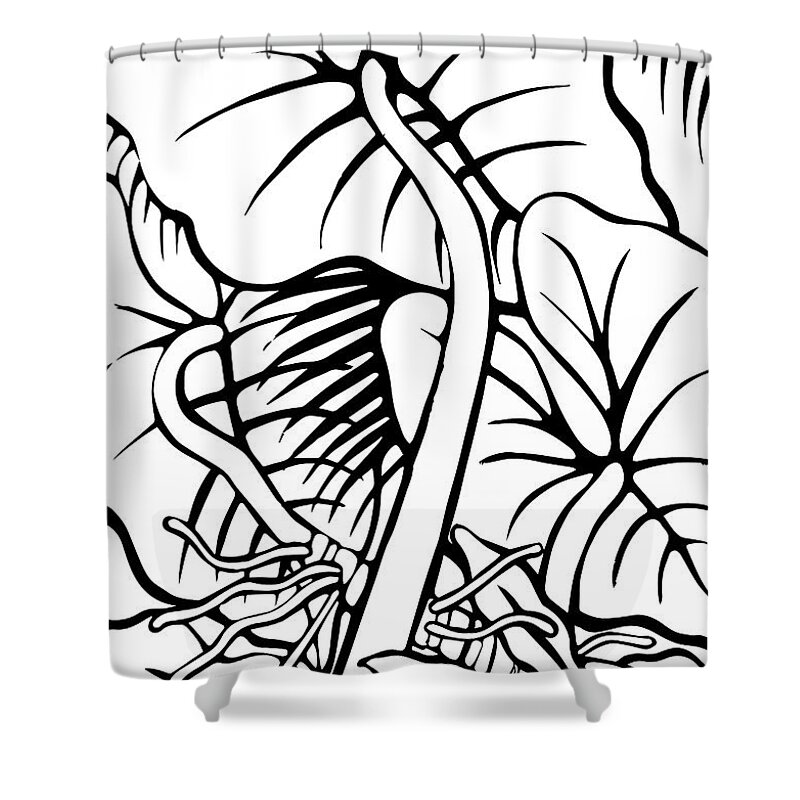 Art Shower Curtain featuring the drawing Under the Night Leaves by Angela Treat Lyon