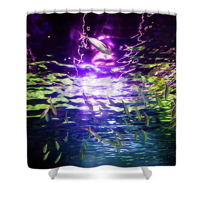 Under Water Shower Curtain featuring the photograph Under The Rainbow by Az Jackson