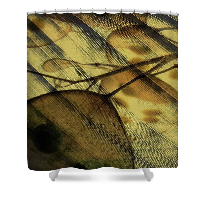 Translucent Shower Curtain featuring the photograph Underlying Hints of Decadence II by Char Szabo-Perricelli