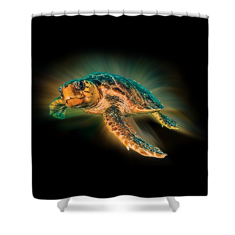 Turtle Shower Curtain featuring the photograph Undersea Turtle by Debra and Dave Vanderlaan