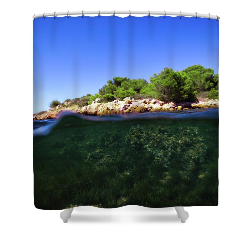 Underwater Shower Curtain featuring the photograph Underwater Life by Gemma Silvestre