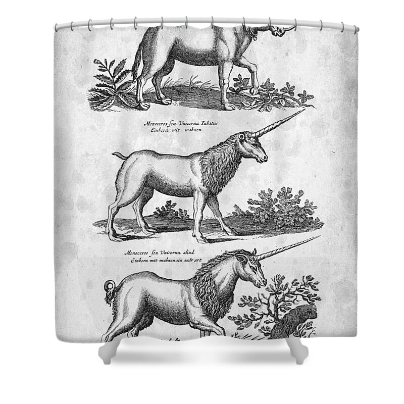Unicorn Shower Curtain featuring the digital art Unicorns 03 Historiae Naturalis 1657 by Aged Pixel