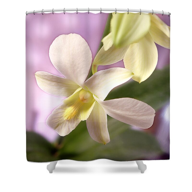White Flower Shower Curtain featuring the photograph Unique White Orchid by Mike McGlothlen