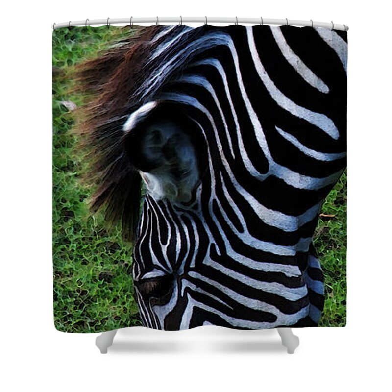 Zebra Shower Curtain featuring the photograph Uniquely Identifiable by Linda Shafer