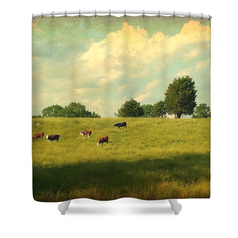 Cows Shower Curtain featuring the photograph Until The Cows Come Home by Beth Ferris Sale