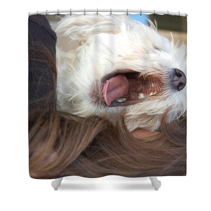 Yawn Shower Curtain featuring the photograph Until the fat Lady Sings by Katelyn Welch
