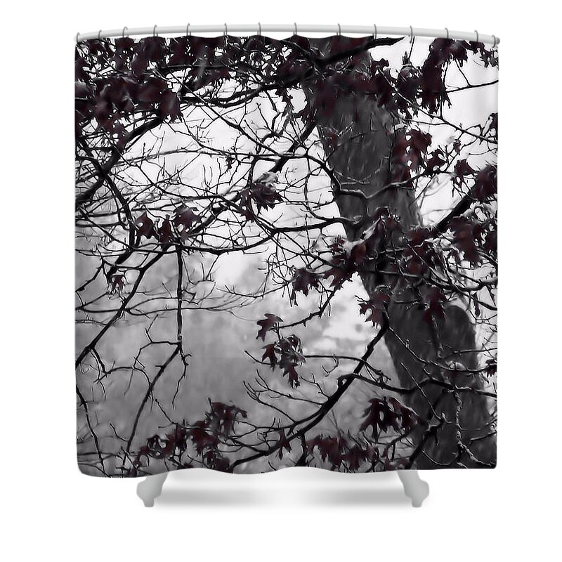 Oak Leaves Shower Curtain featuring the photograph Until The Last Leaf Falls by Roxy Riou