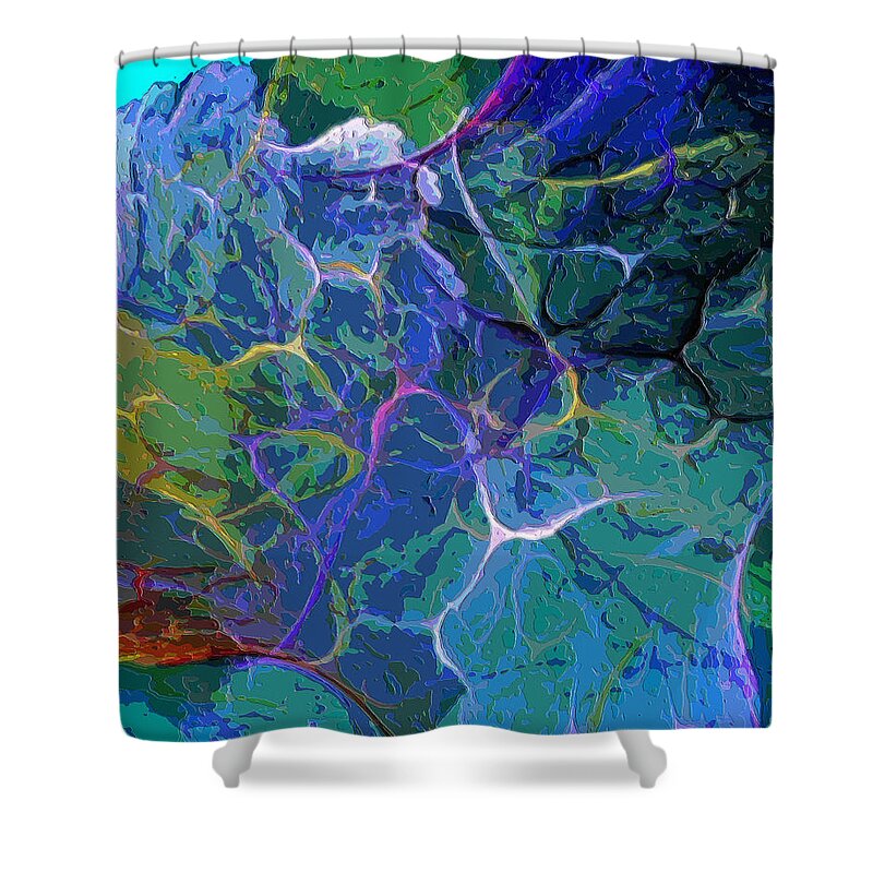 Digital Painting Shower Curtain featuring the digital art Untitled 5-2-10-a by David Lane