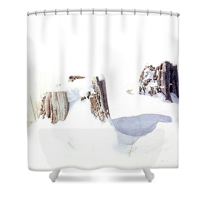 Winter Shower Curtain featuring the painting Untitled #6 by Conrad Mieschke