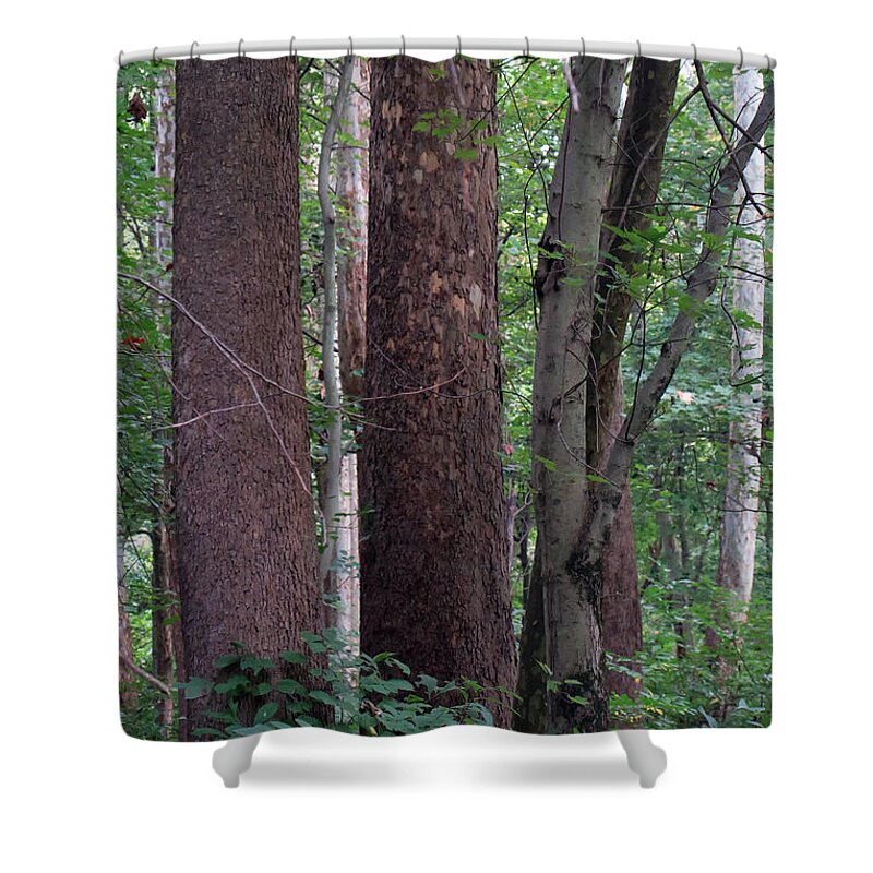 09.28.15_a 033 Shower Curtain featuring the photograph Untitled by Dorin Adrian Berbier
