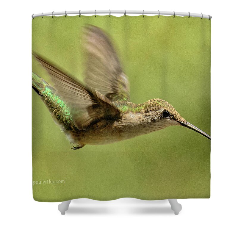 Hummingbird Shower Curtain featuring the photograph Untitled Hum_bird_one by Paul Vitko