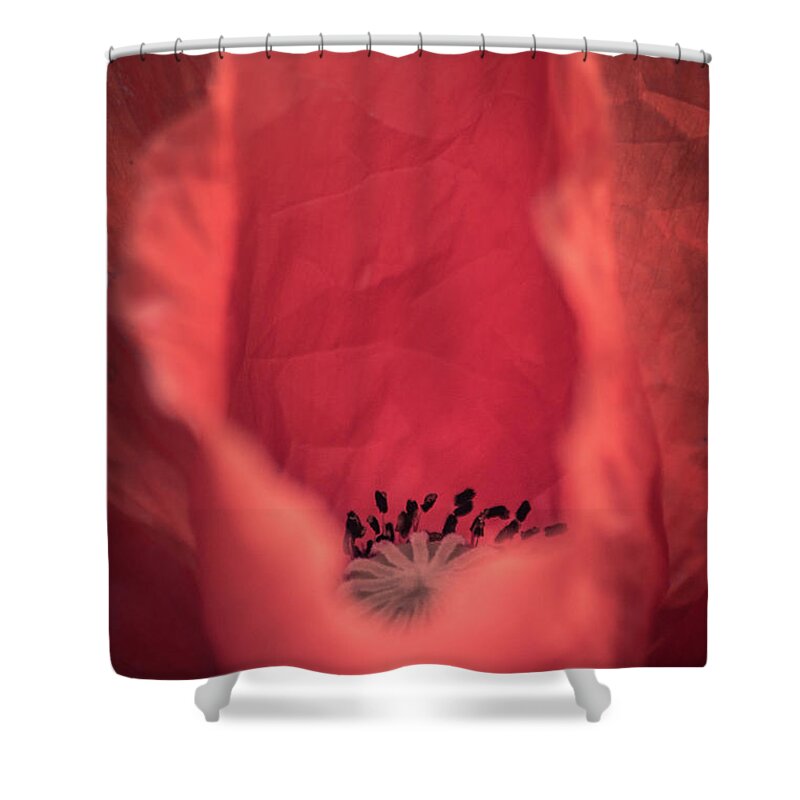 Beauty Shower Curtain featuring the photograph Untouched by Hannes Cmarits