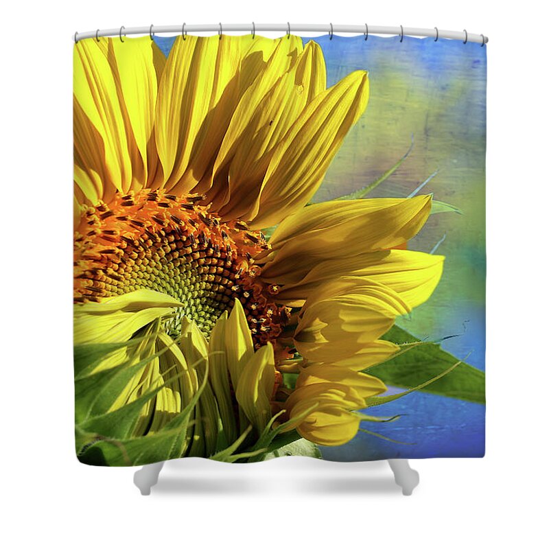 Sunflower Shower Curtain featuring the photograph Unveiling by Vanessa Thomas