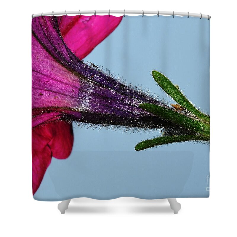 Macro Shower Curtain featuring the photograph Up Close by Dani McEvoy