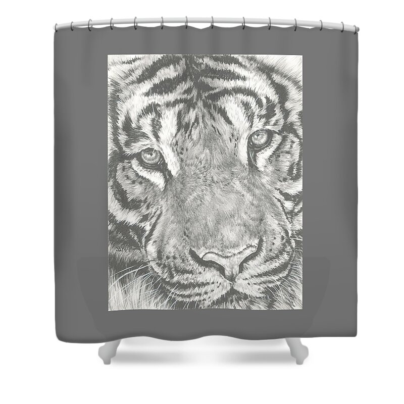Tiger Shower Curtain featuring the drawing Scrutiny by Barbara Keith
