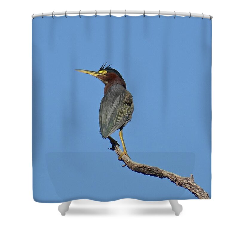 Sky Shower Curtain featuring the photograph Up In The Air by Carol Bradley