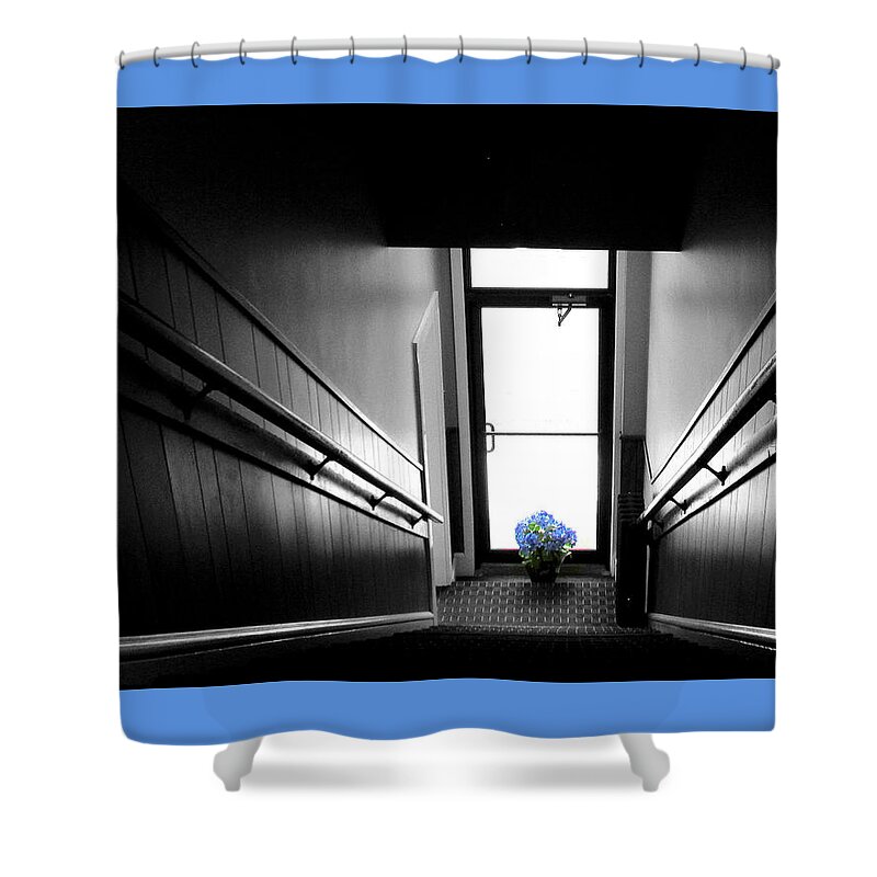Stairs Shower Curtain featuring the photograph Up The Down Staircase by Lori Lafargue