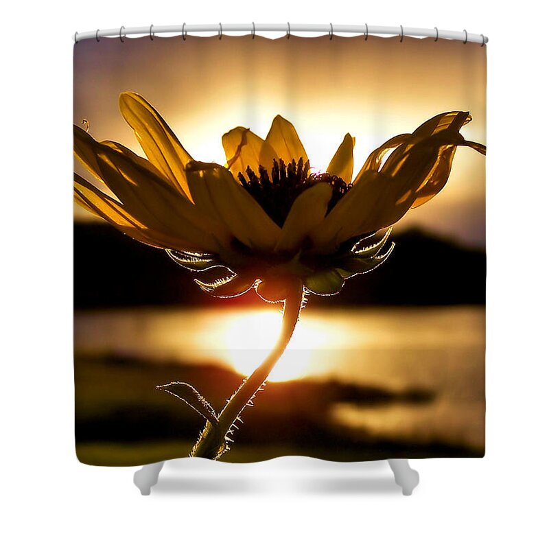 Flower Shower Curtain featuring the photograph Uplifting by Karen Scovill