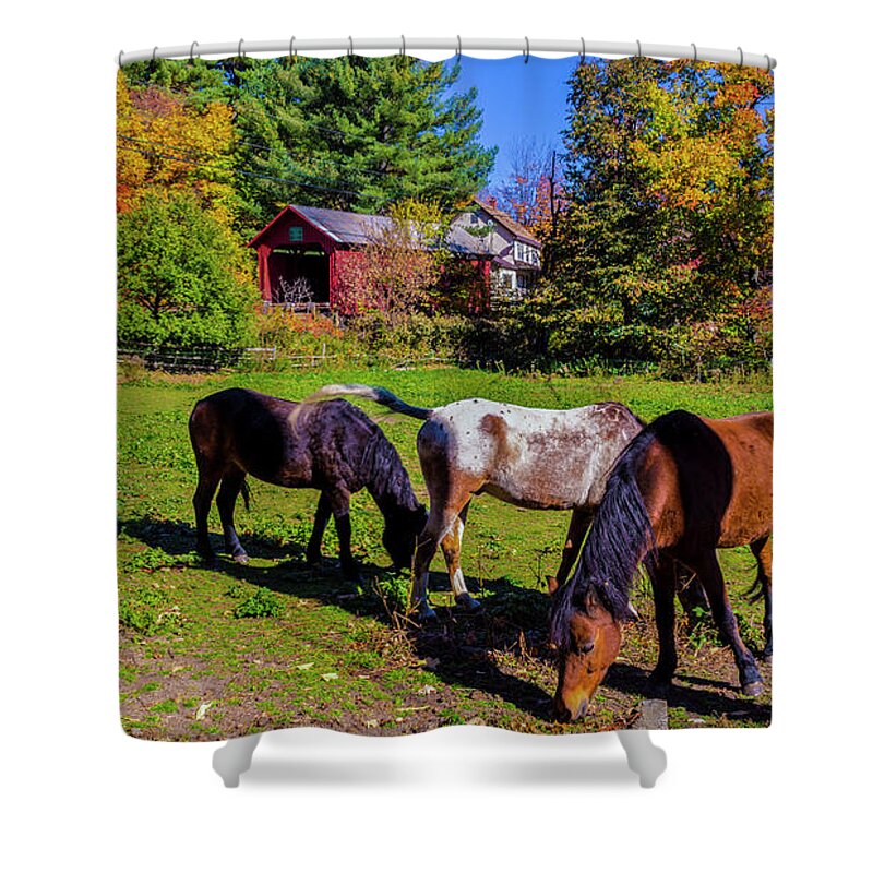 Upper Cox Brook Covered Bridge Shower Curtain featuring the photograph Upper Cox Brook Covered Bridge by Scenic Vermont Photography