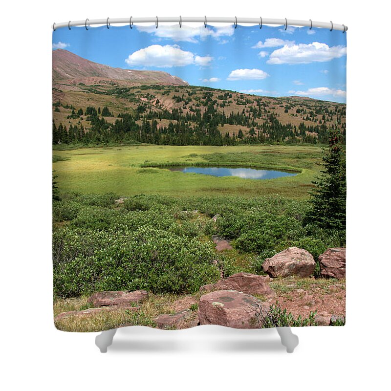 Utah Shower Curtain featuring the photograph Upper Meadow near Red Castle Lake by Brett Pelletier